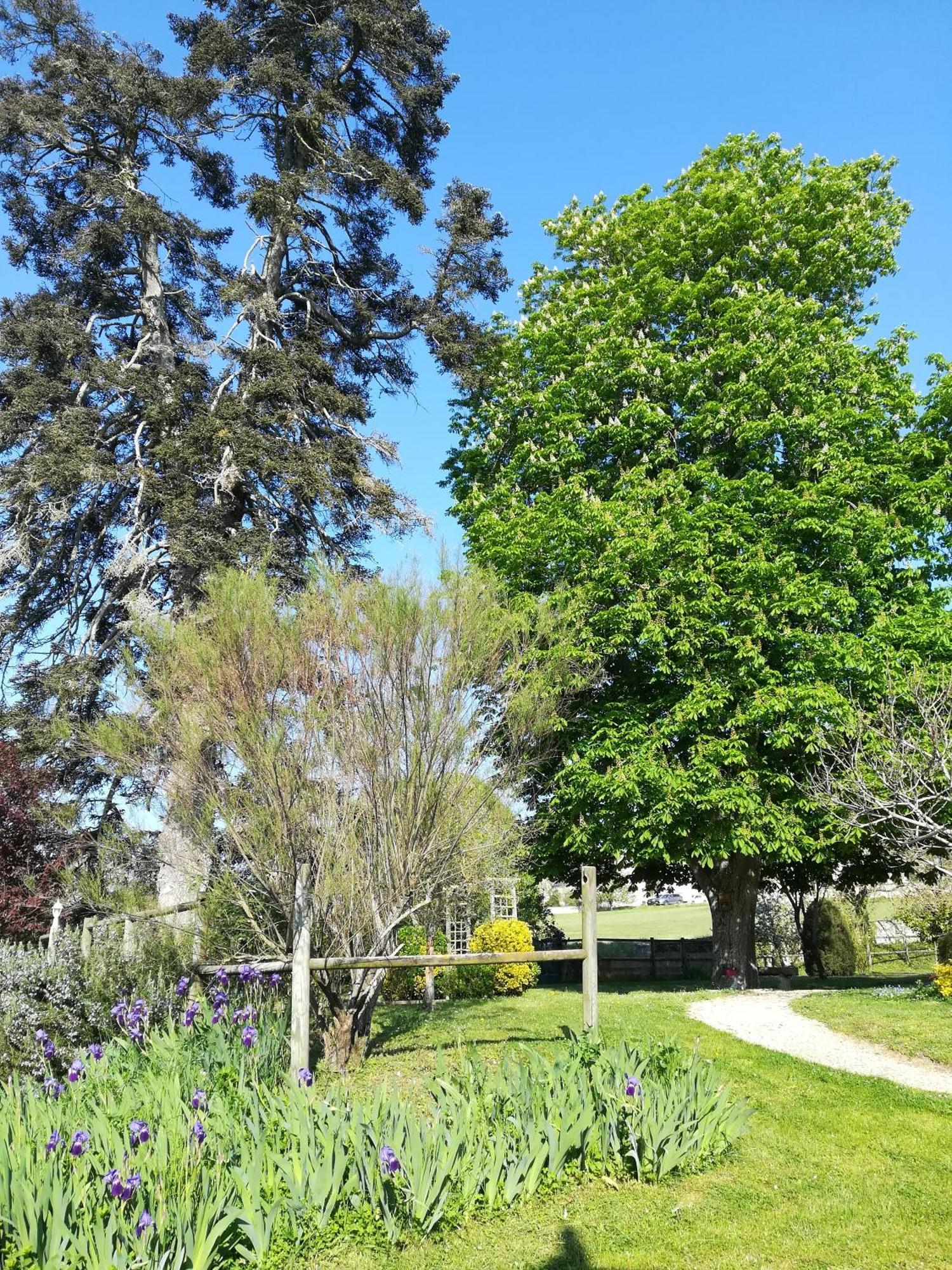 Manoir De L'Abbaye Bed & Breakfast Seuilly Bagian luar foto
